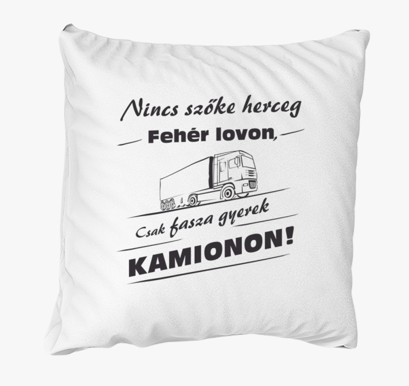 Kamion voznik blazina