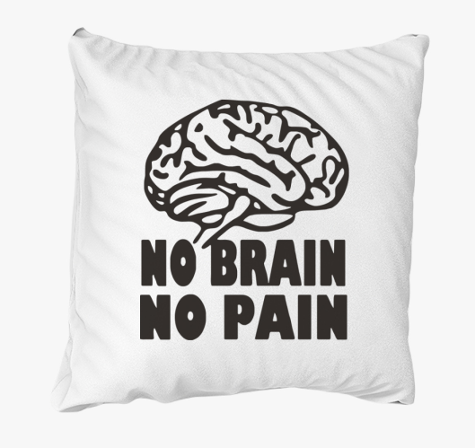 Agy nincs - smešno blazina