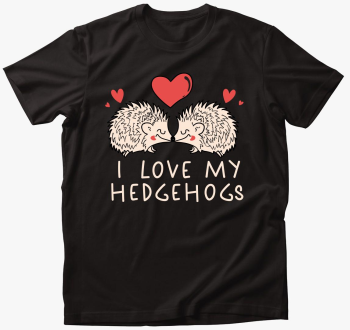 I love my hedgehogs 
