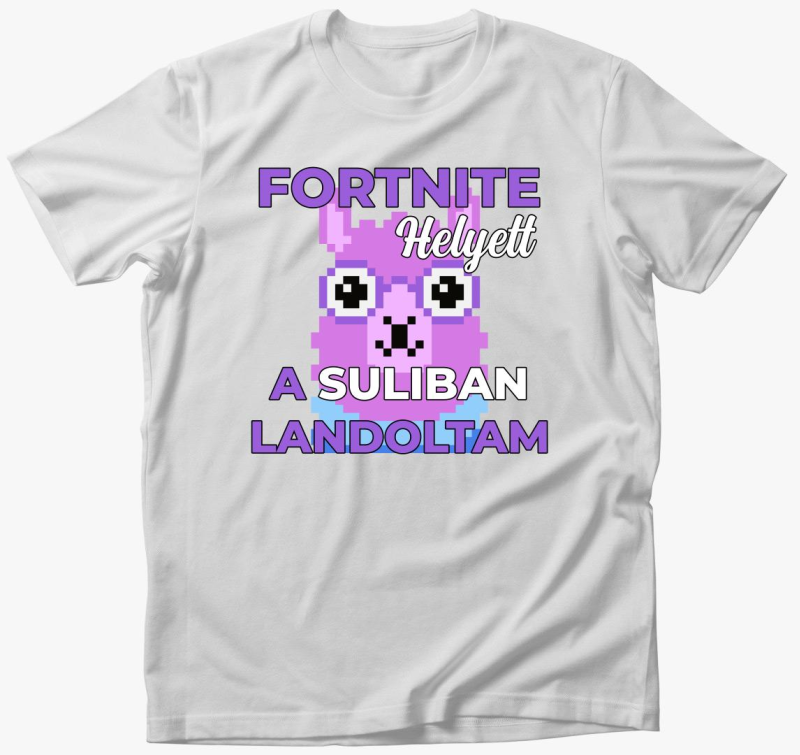 Fortnite helyett suliban landoltam majica