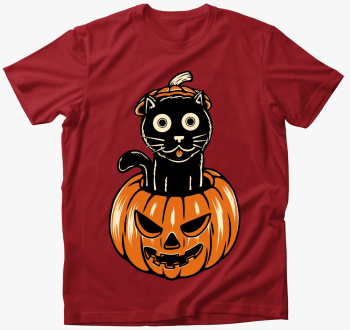 Halloween-i črna cic