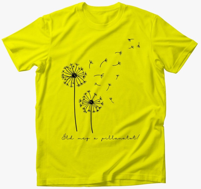 meg pillanatot, majica, pitypang