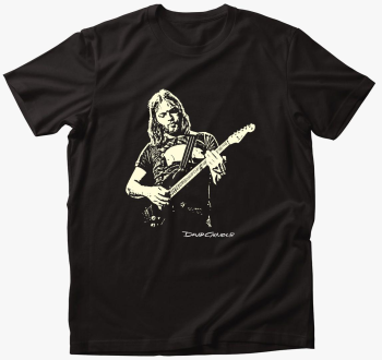 Pink Floyd-David Gil...