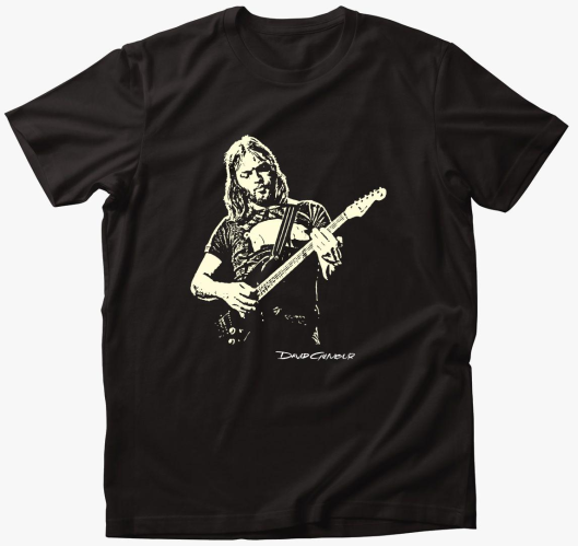 Pink Floyd-David Gilmour Majic...