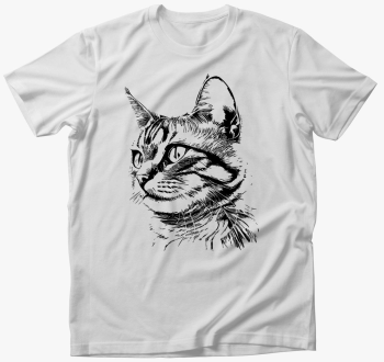 Aranyos cica 2 majic