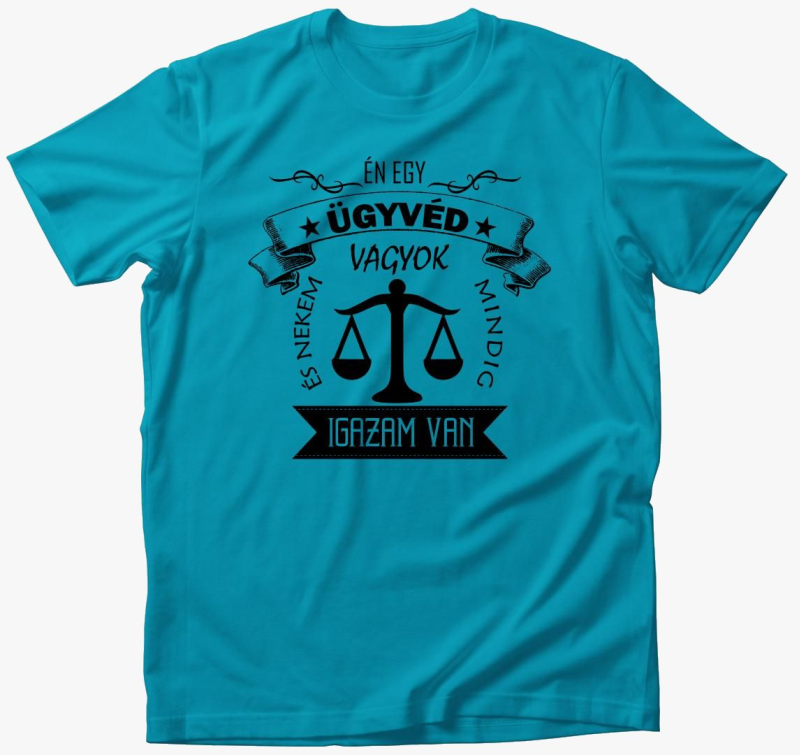 majica - Mindig igazam je!:)