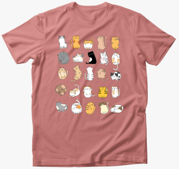 Sok-sok cuki cica ma