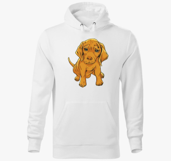 Aranyos kutyus pulover s kapuco