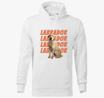 Labrador pulover s kapuco