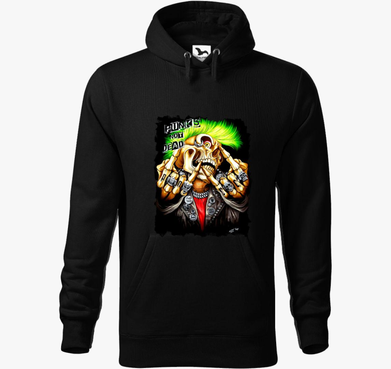 Punks Not Dead pulover s kapuco