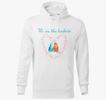 We are like lovebirds pulover s kapuco