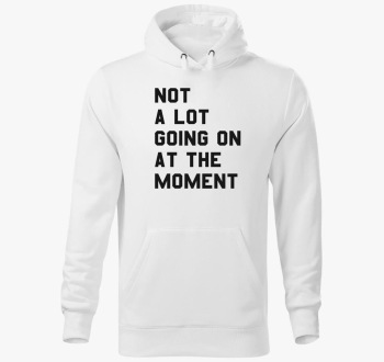 not lot going on at the moment Taylor Swift pulover s kapuco