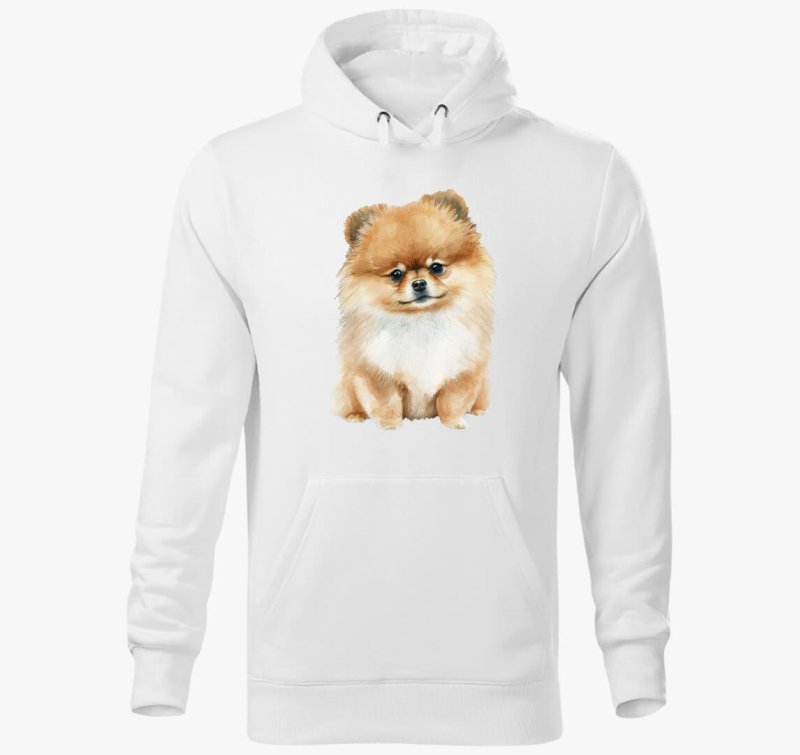 Spicc pulover s kapuco