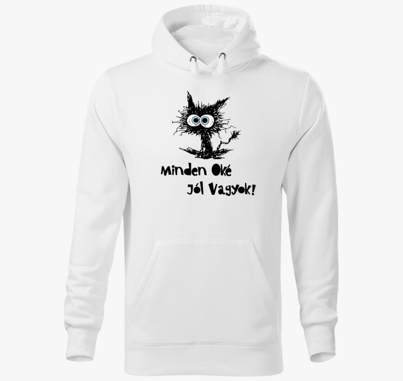 cat pulover s kapuco