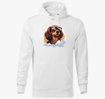 Tacsi pulover s kapuco