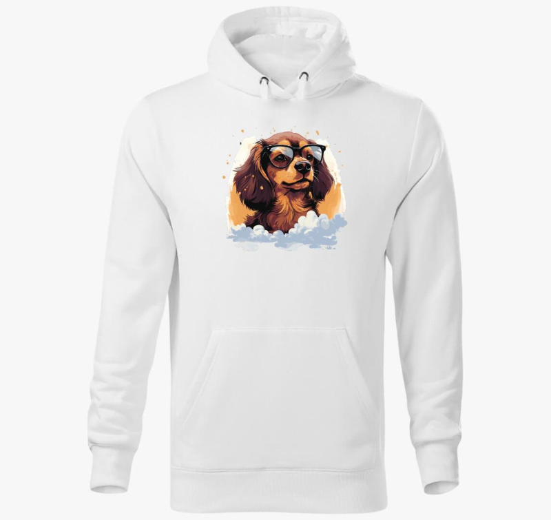 Tacsi pulover s kapuco