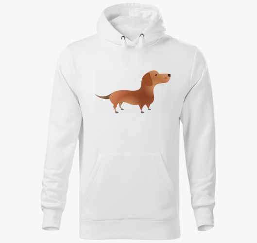 pulover s kapuco in/ali csak