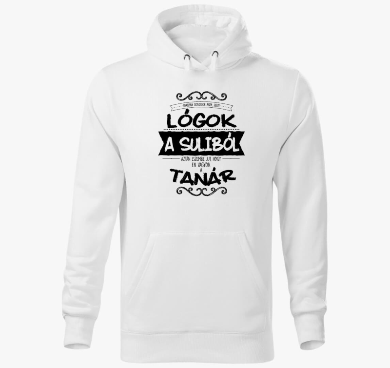 Učitelj 2 pulover s kapuco