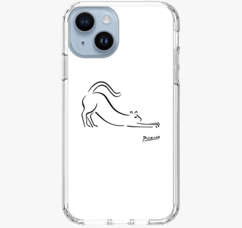 Picasso CAT ovitek z