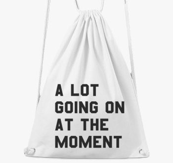 lot going on at the moment Taylor Swift nahrbtnik