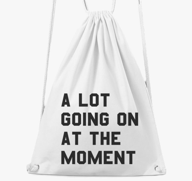 lot going on at the moment Taylor Swift nahrbtnik