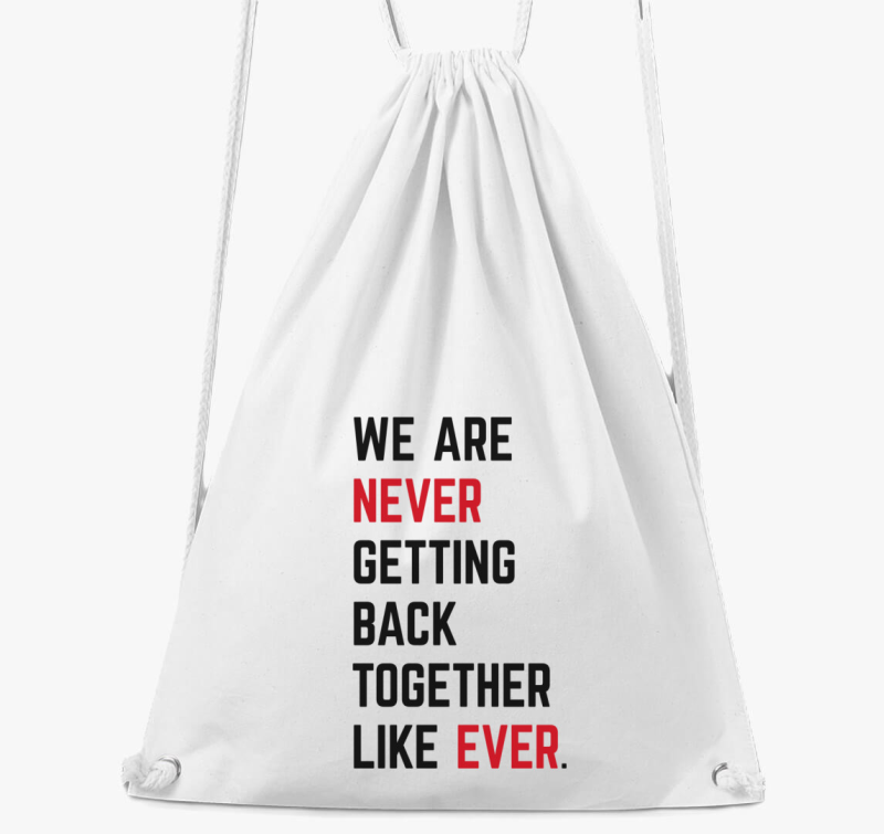 we are never Taylor Swift nahrbtnik