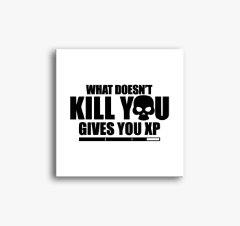 Ami ne meg xpt ad slika na platnu