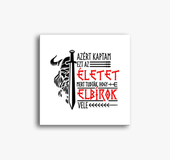 Viking slika na plat