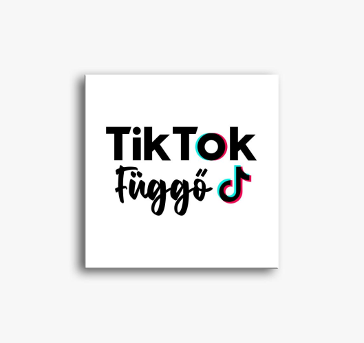 TikTok slika na platnu