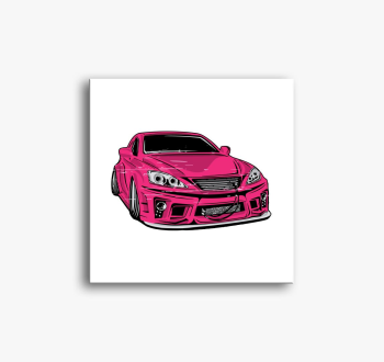 Csajos pink verda slika na platnu