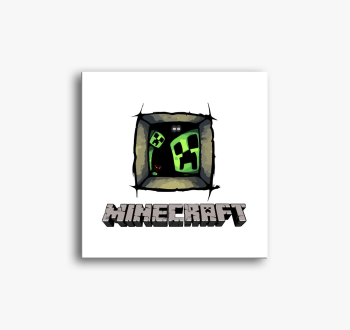 Minecraft window zom...