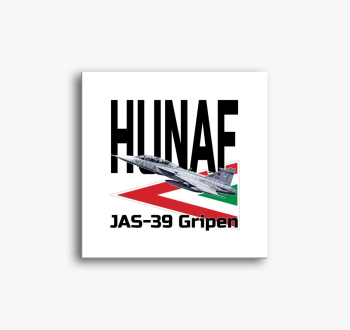 JAS-39 2 slika na pl