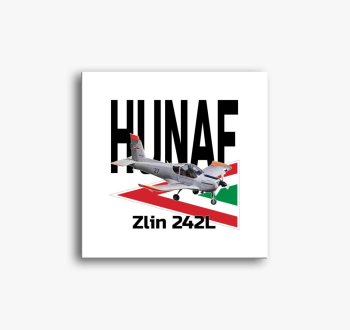 Zlin 242L slika na p