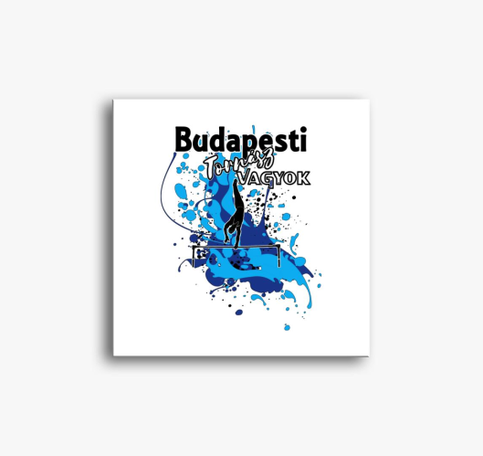 Budapesti sem 08 - slika na pl...