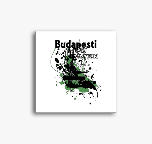 Budapesti sem 11 - slika na pl...