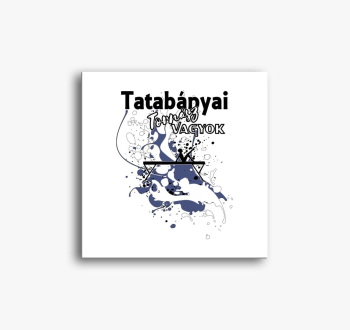 sem 02 - slika na pl