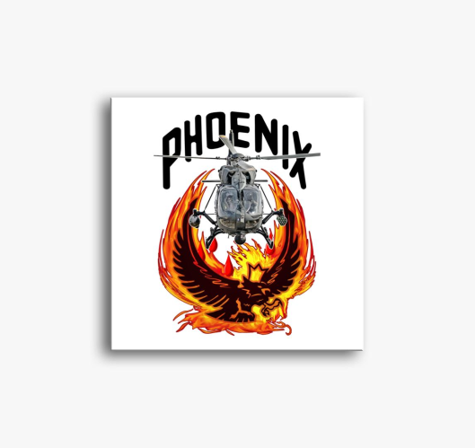 Phoenix H145M slika na platnu