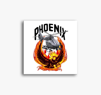 Phoenix H145M 2 slika na platnu