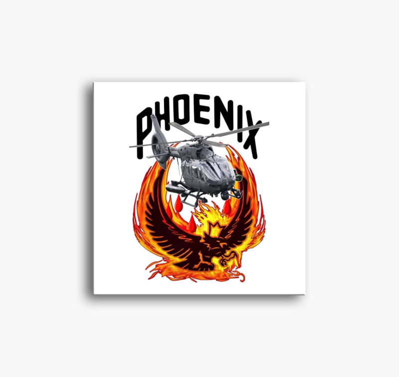 Phoenix H145M 2 slika na platnu