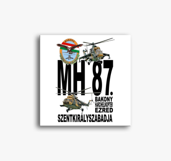 MH 87. Bakony Harcihelikopter Ezred 2 slika na platnu