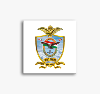 MH 87. Bakony Harcihelikopter Ezred 3 slika na platnu