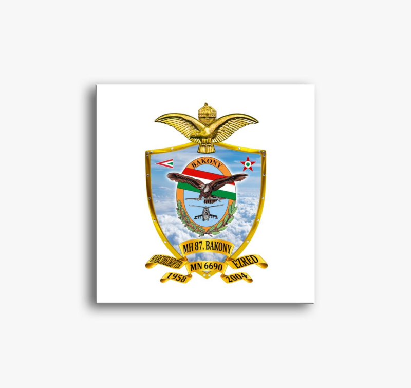 MH 87. Bakony Harcihelikopter Ezred 3 slika na platnu