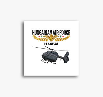 Aranysas H145M slika na platnu