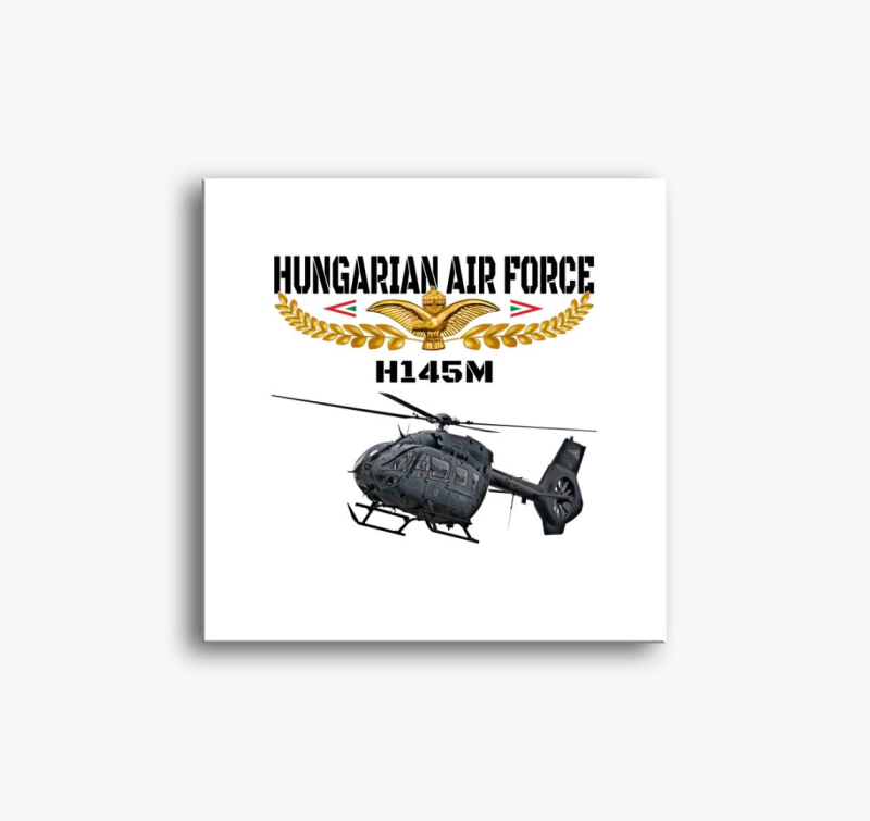 Aranysas H145M slika na platnu