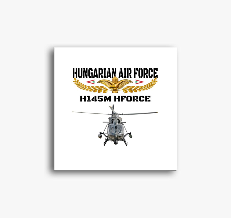 Aranysas H145M 2 slika na platnu