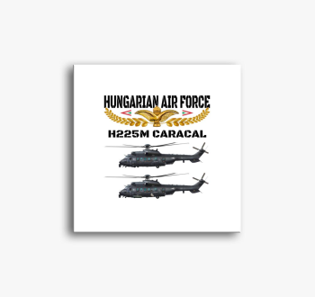 Aranysas H225M slika na platnu