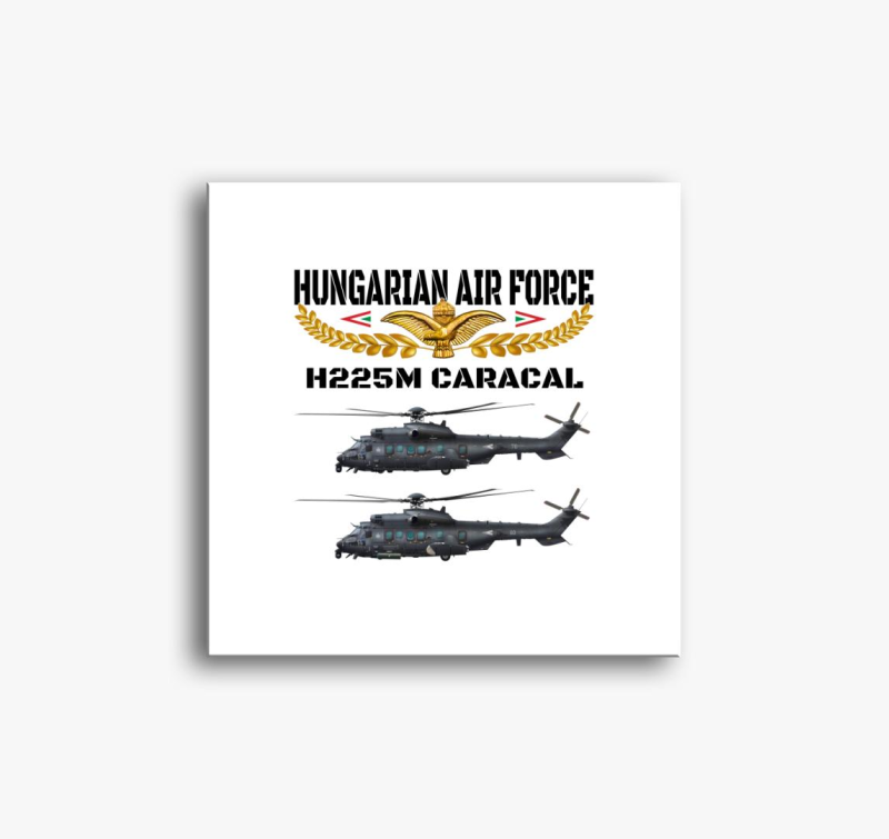 Aranysas H225M slika na platnu