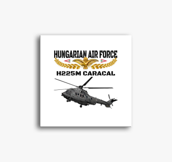 Aranysas H225M 2 slika na platnu