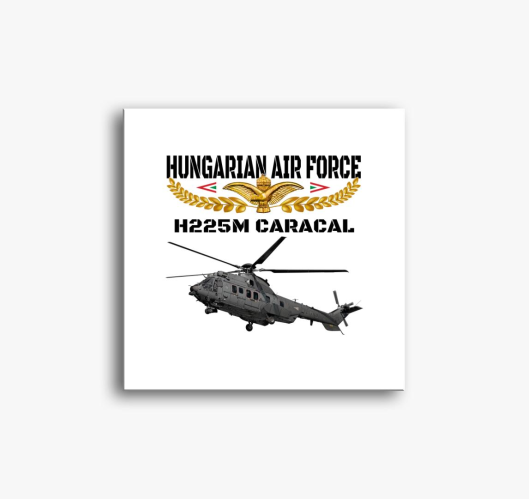 Aranysas H225M 2 slika na plat...