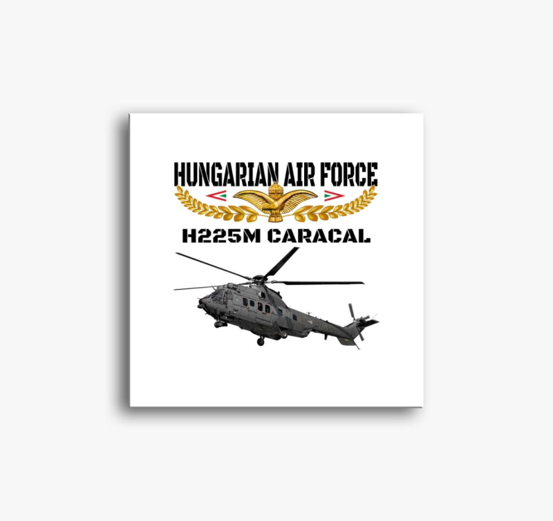 Aranysas H225M 2 slika na platnu